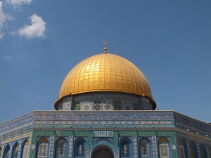 8541547047 e2ddfa45c2 o