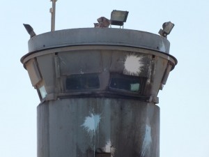 8541551153 1b86b5c093 o 