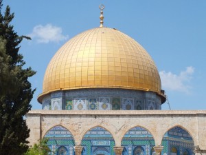 8542645696 7eb42c2a87 o 