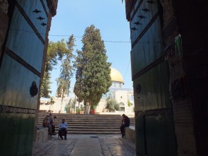 8542646362 f51b4cb234 o 