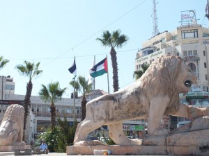 8542647792 d53b7d416d o 